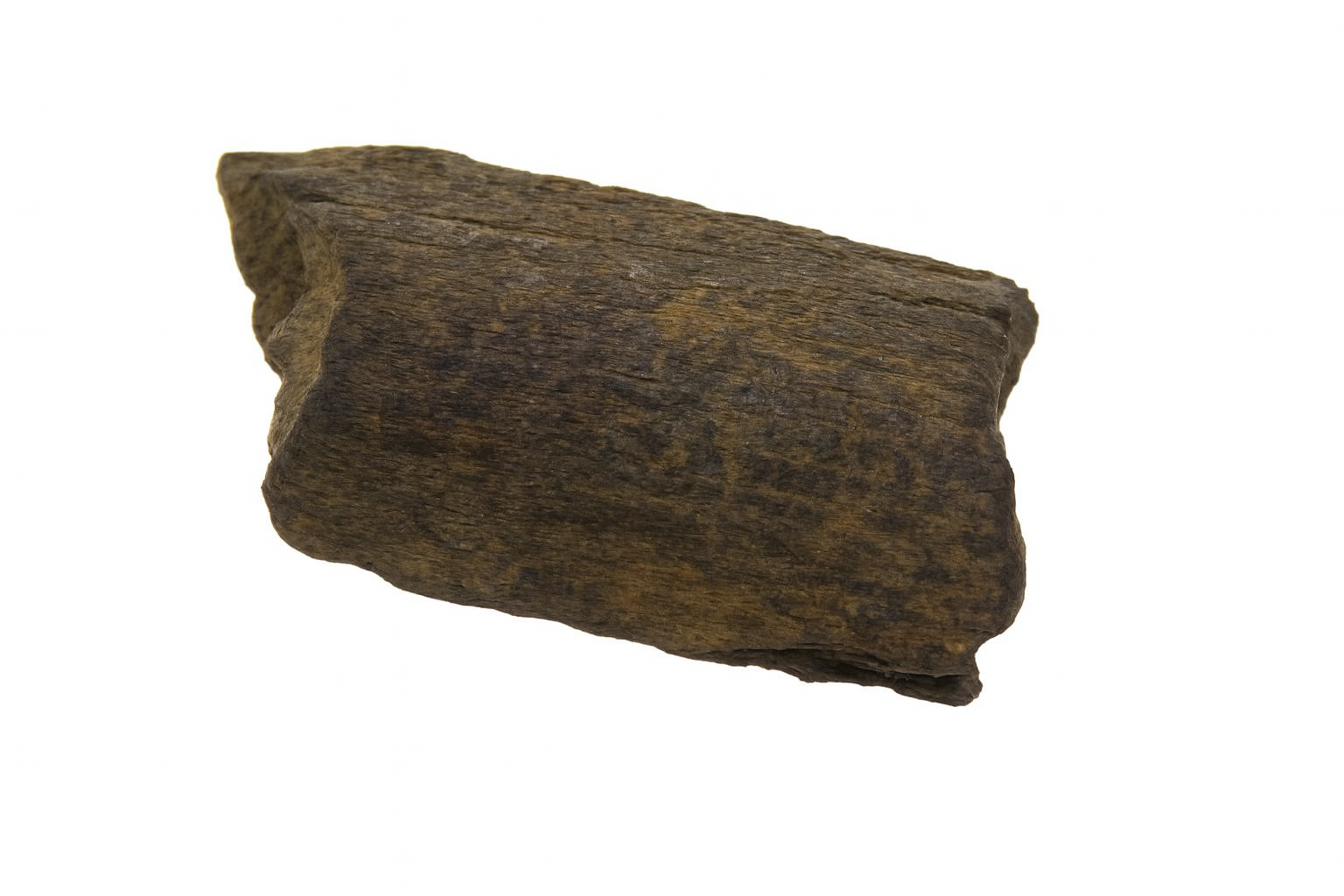 Pachy Bone.