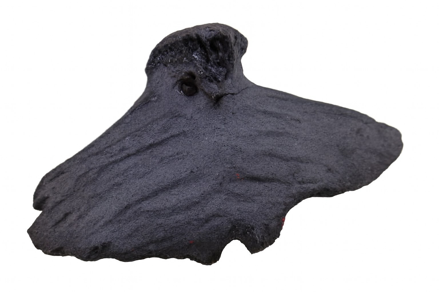 Unidentified vertebrae