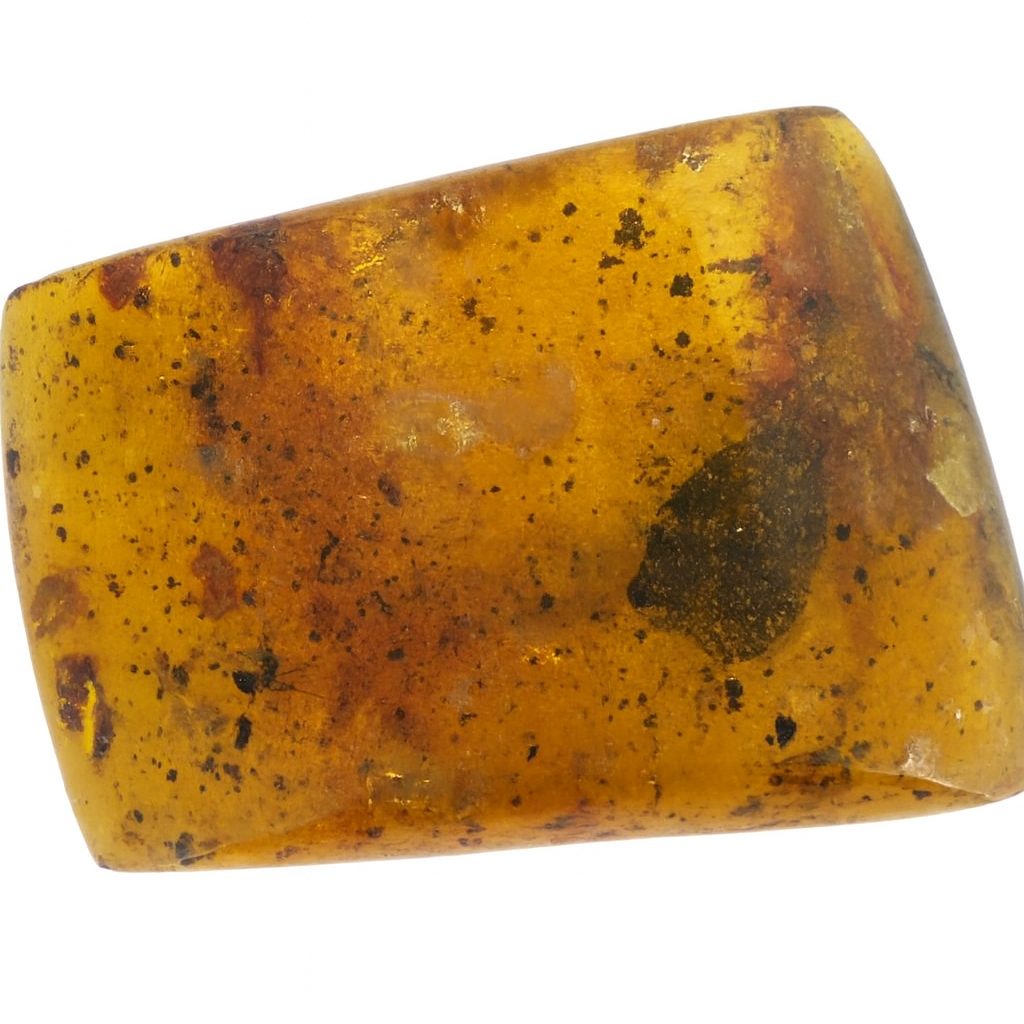 Amber with Insect Inclusions.