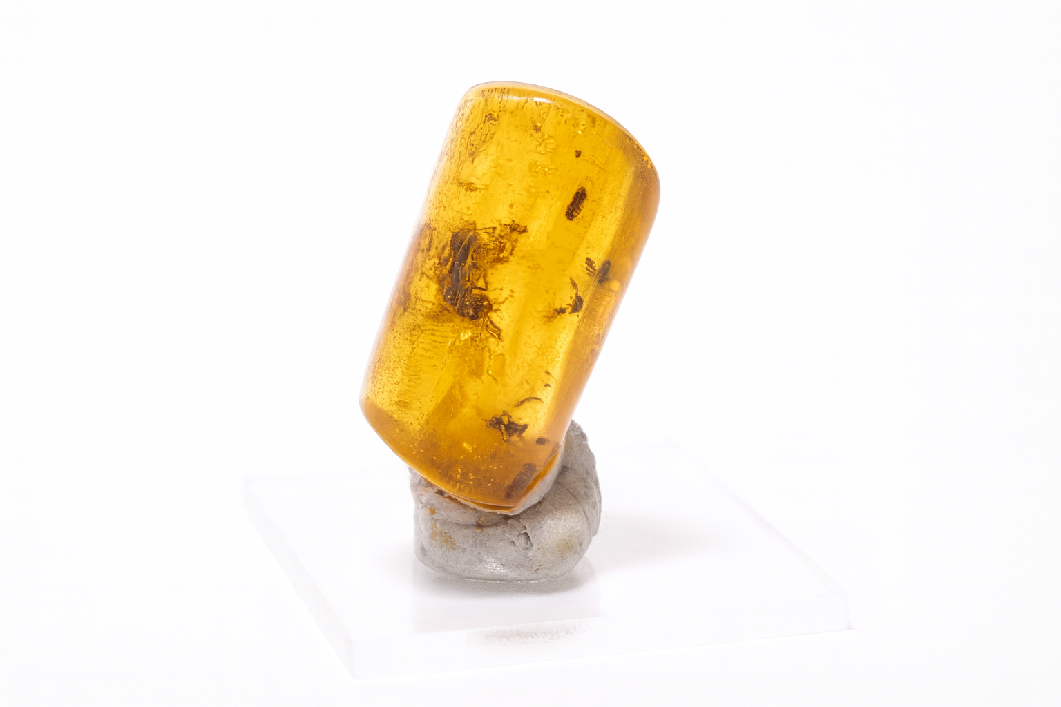 Amber with Insect Inclusions.
