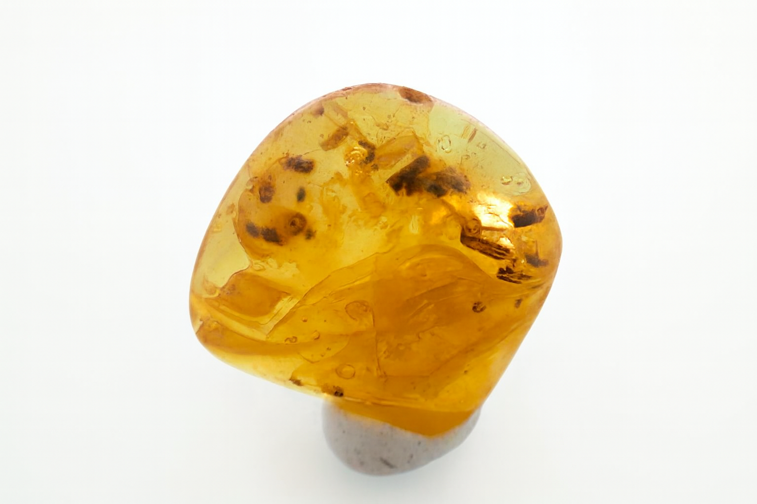 Amber with insect Inclusions.