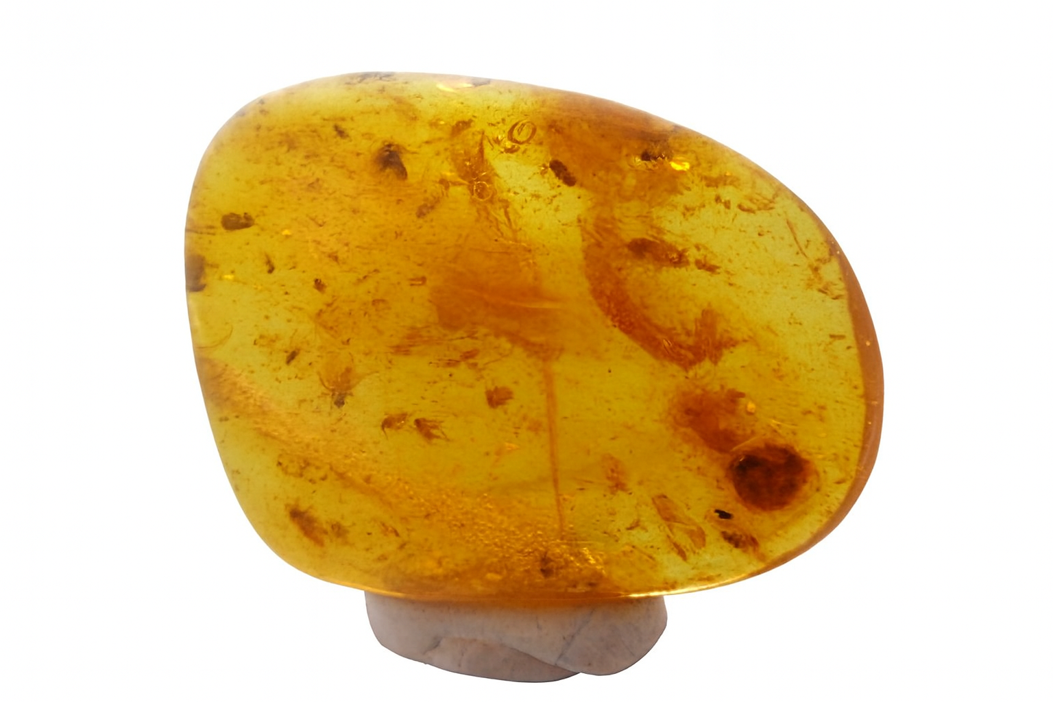Amber with Insect Inclusions.