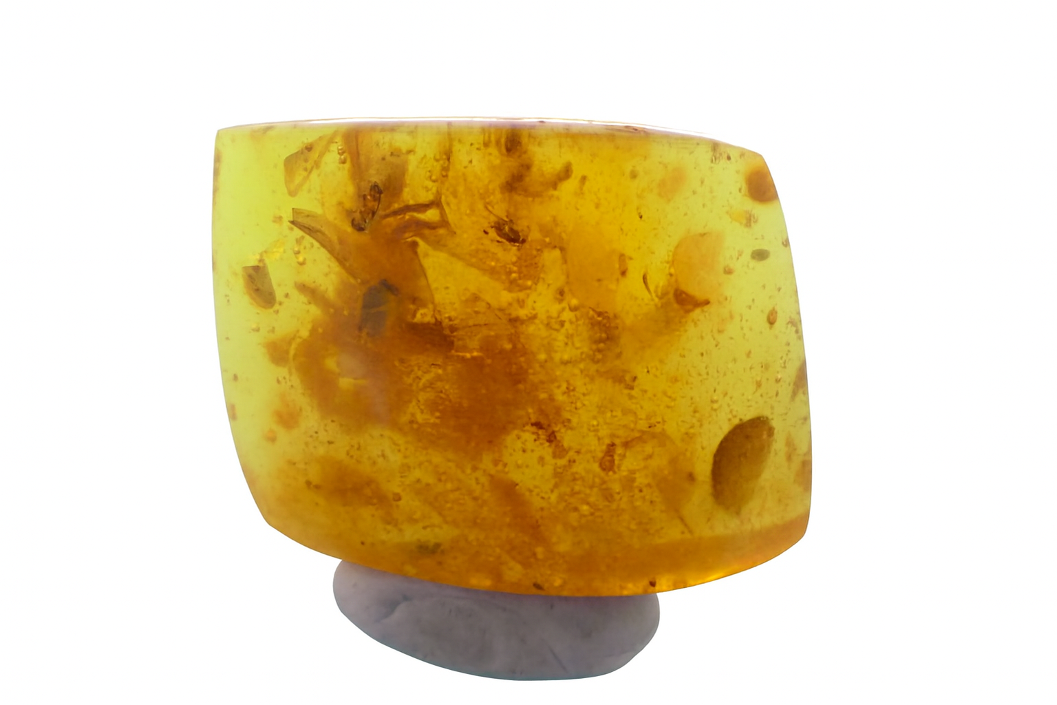 Amber with Insect Inclusions.