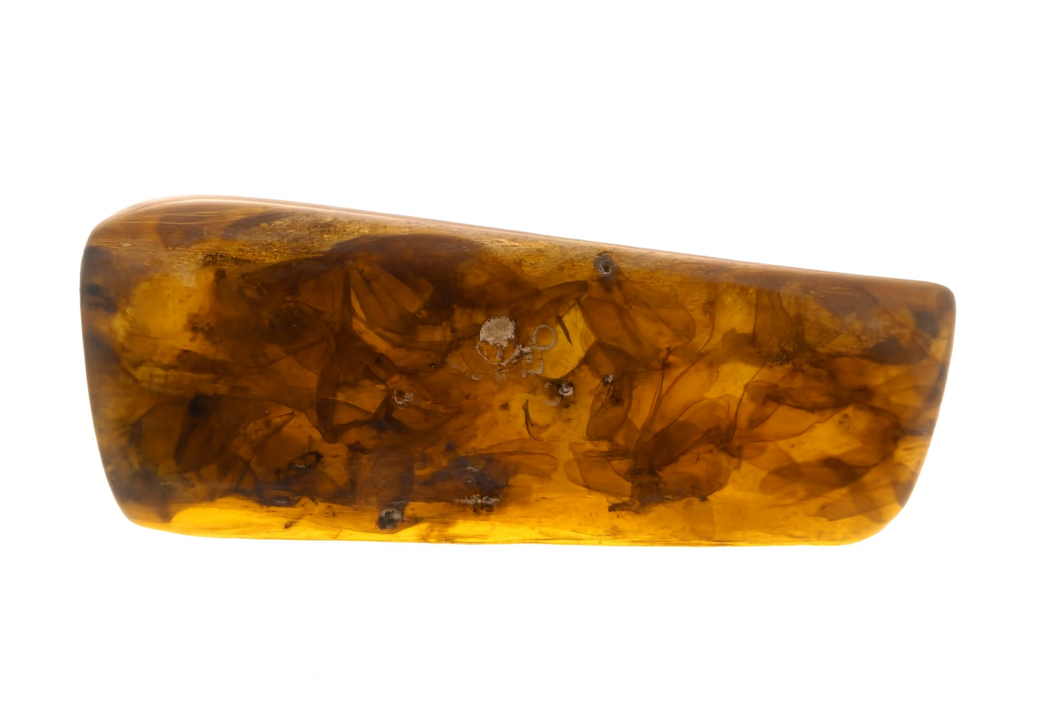 Amber with Insect Inclusions.