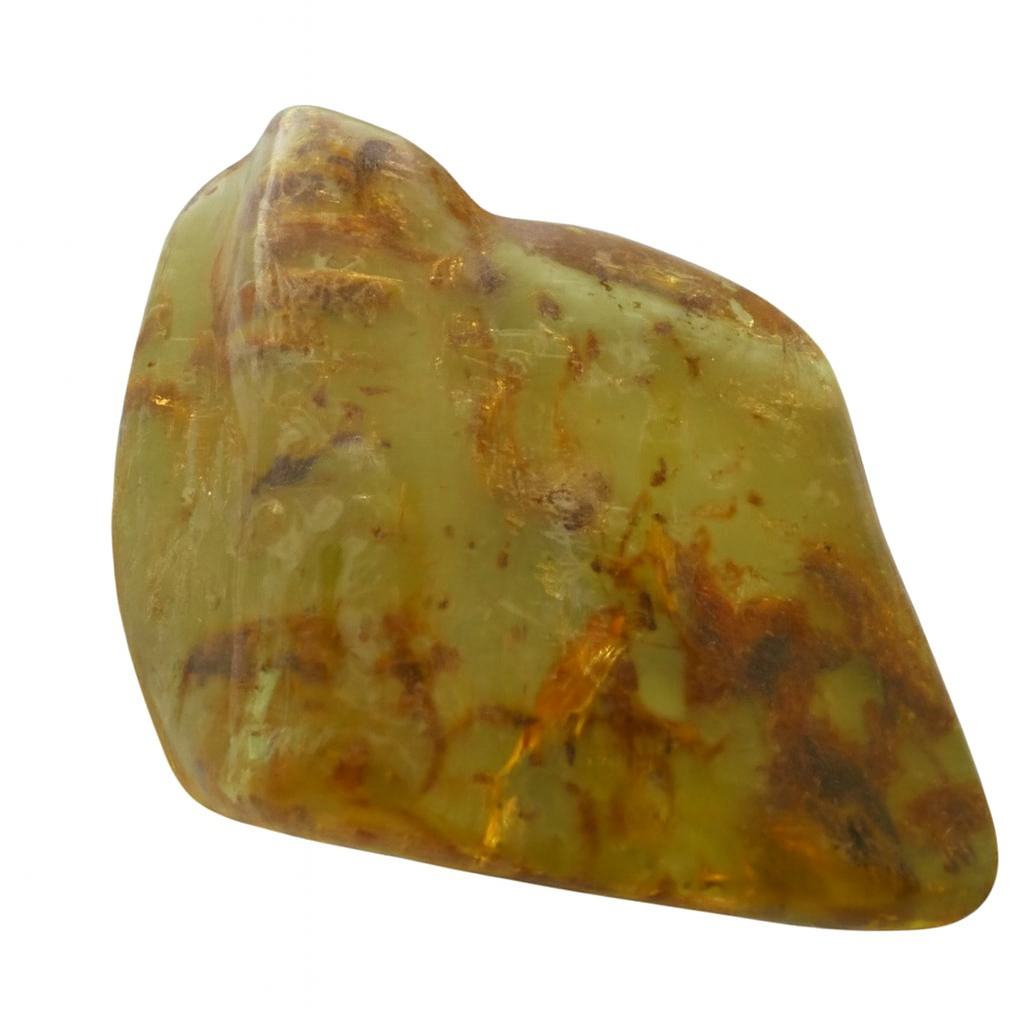 Amber with Insect Inclusions.