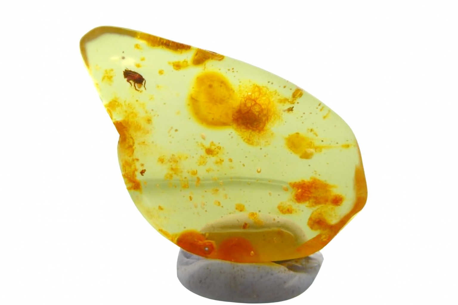 Amber with Insect Inclusions.