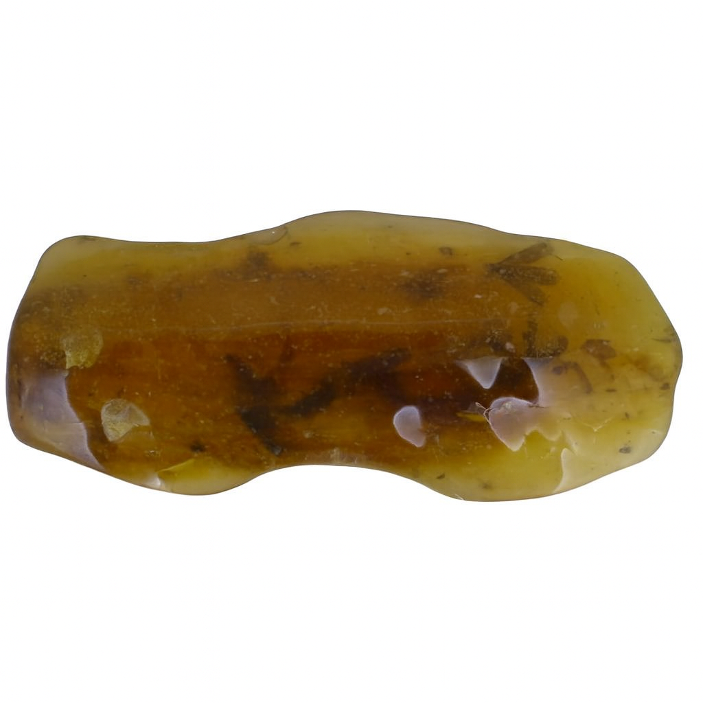 Amber with Insect Inclusions.