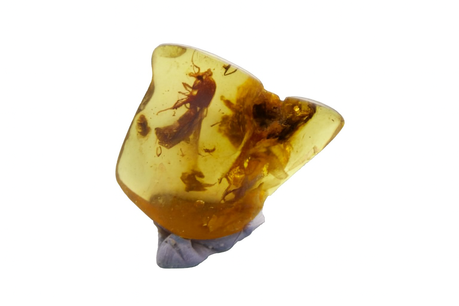 Over $200 Colombian Amber
