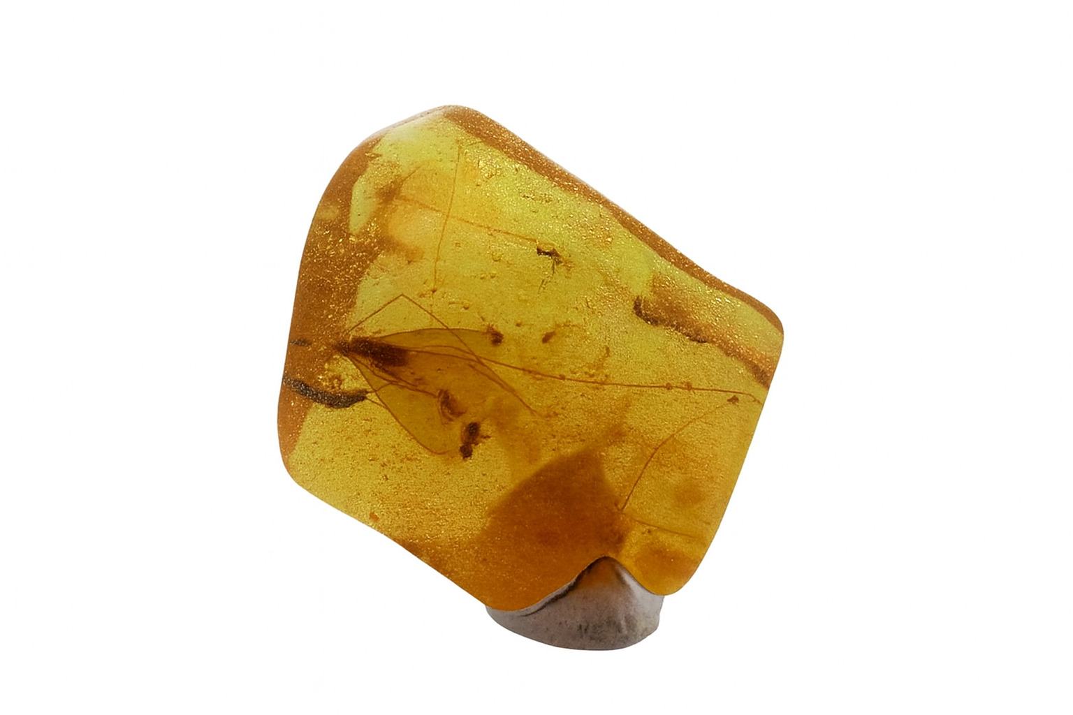 Amber with Insect Inclusions.