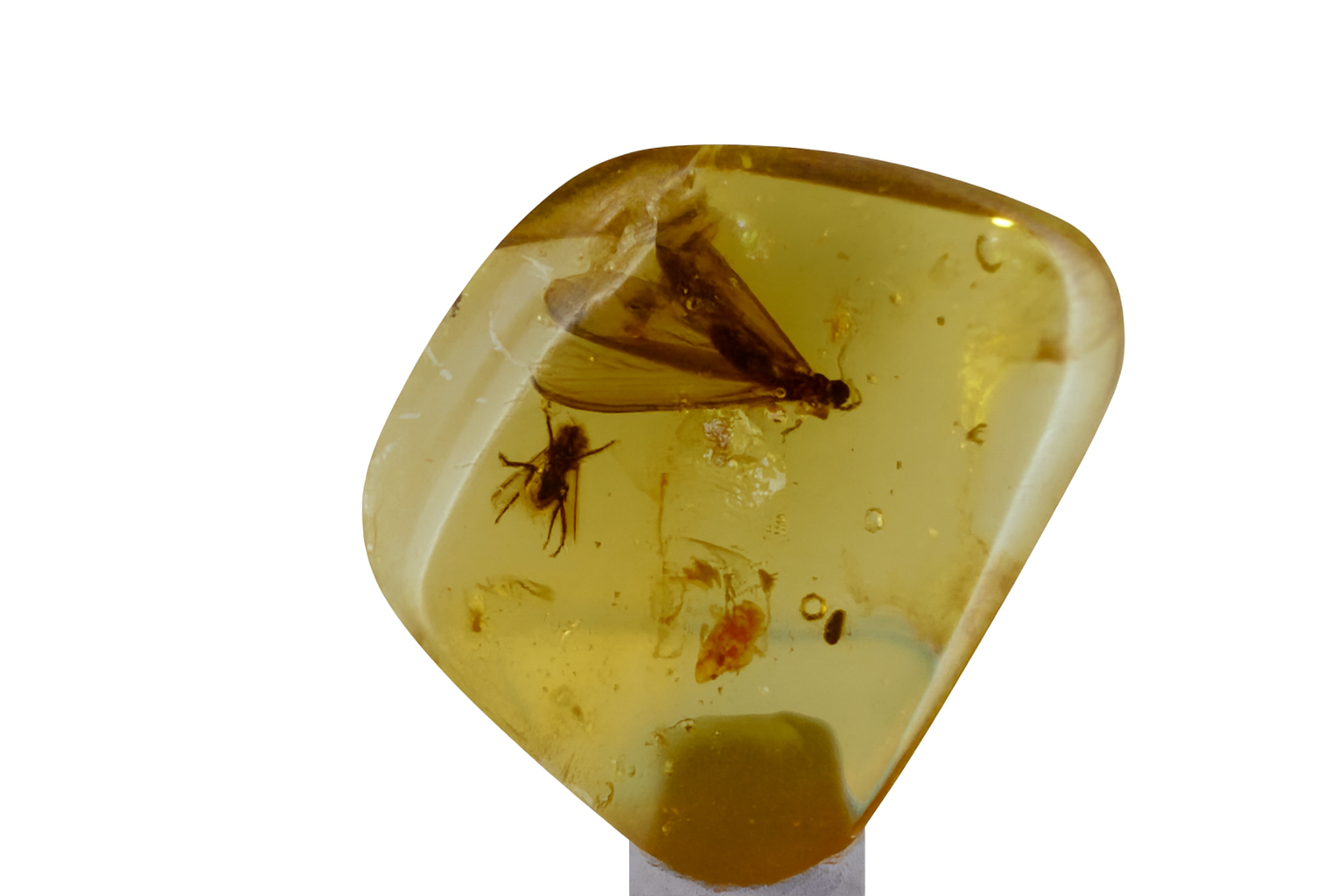 Colombian Amber $110 to $125