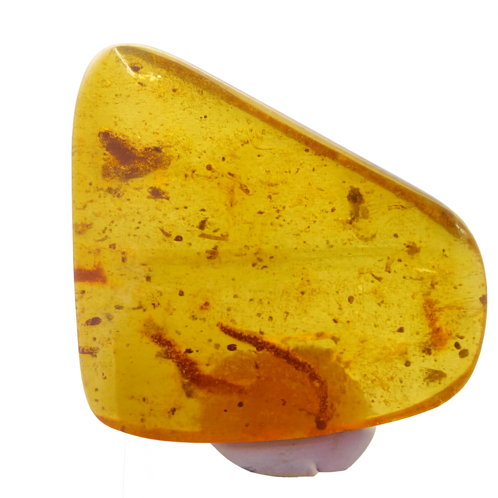 Amber with insect Inclusions.