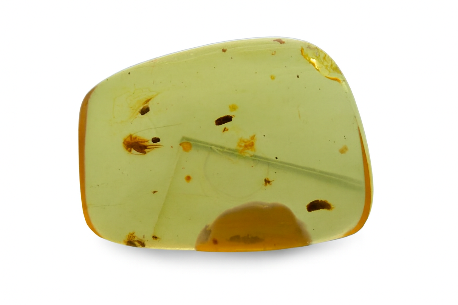 Amber with Cricket and Insect Inclusions.