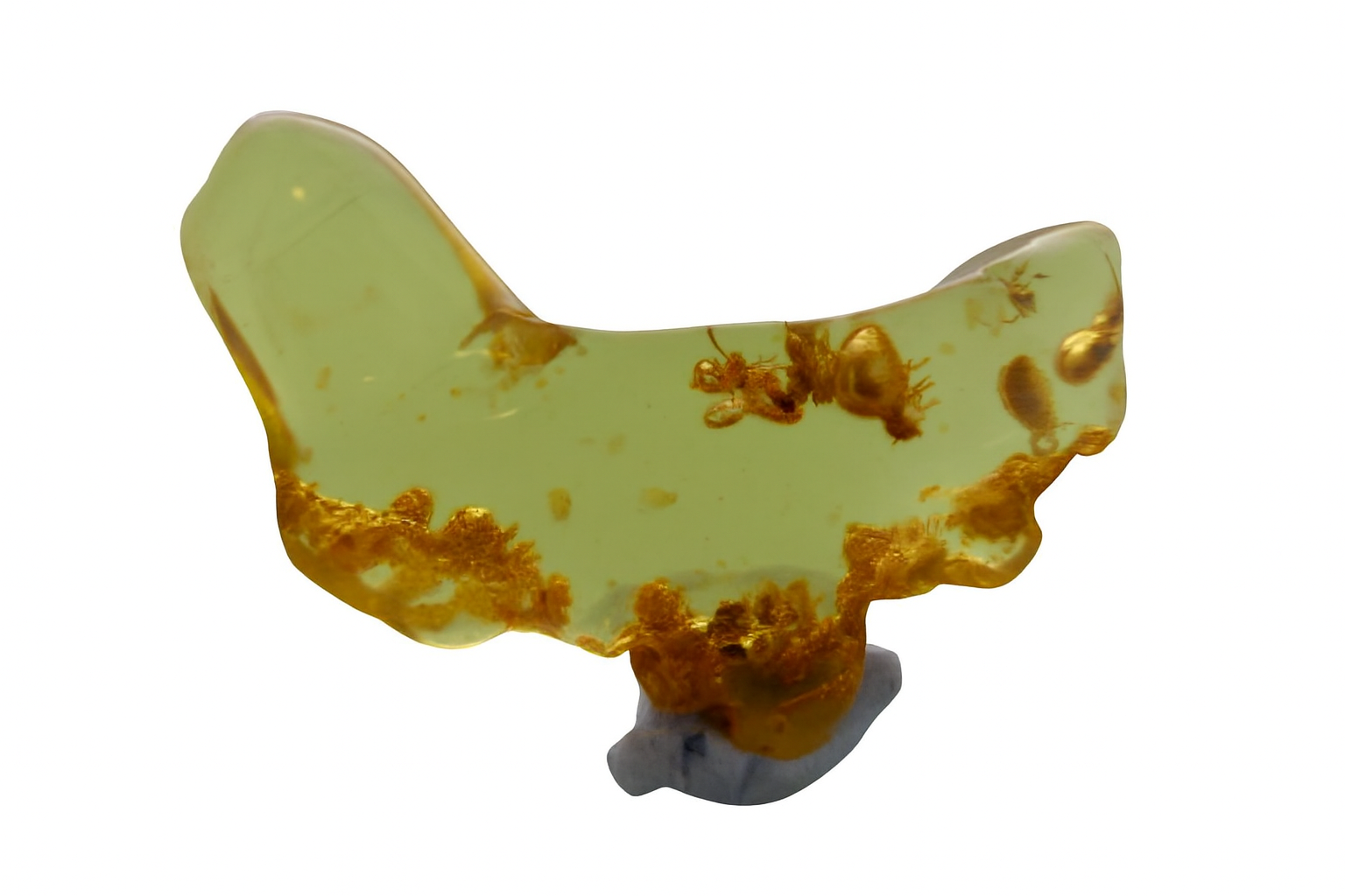 Amber with Insect Inclusions.