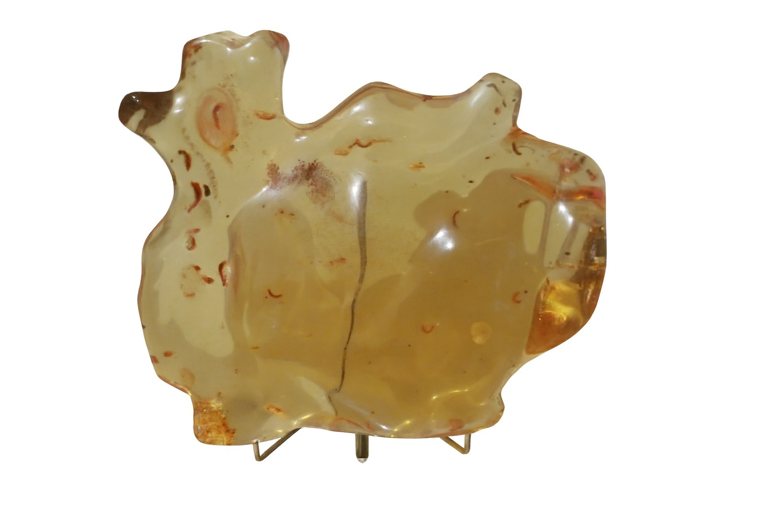 Amber with Termite Inclusions.