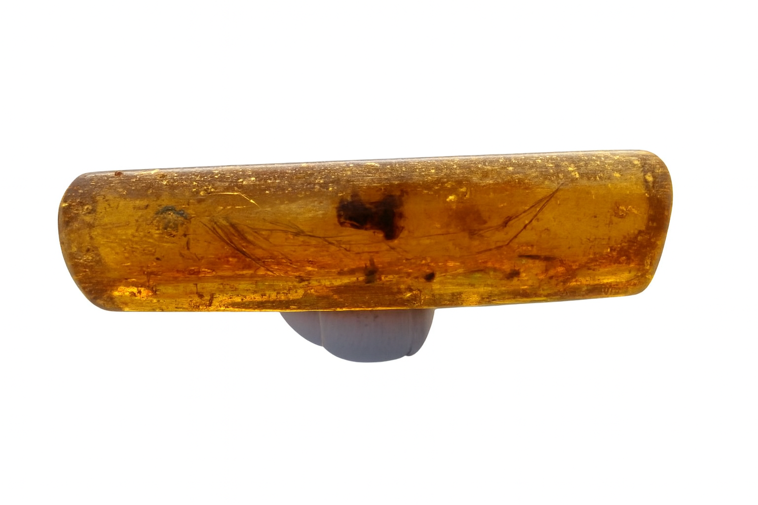 Amber with Insect Inclusions.