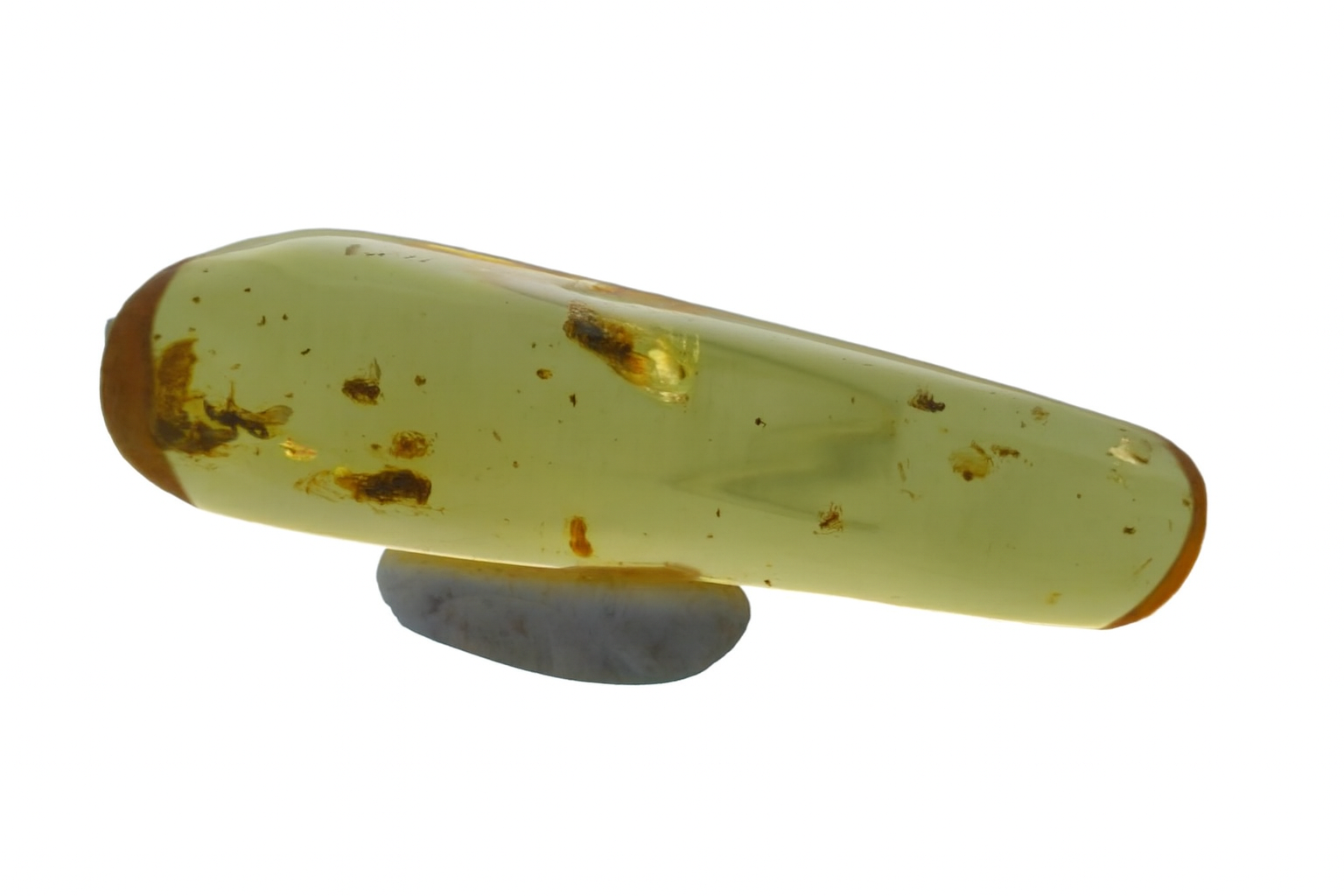 Amber with Insect Inclusions.