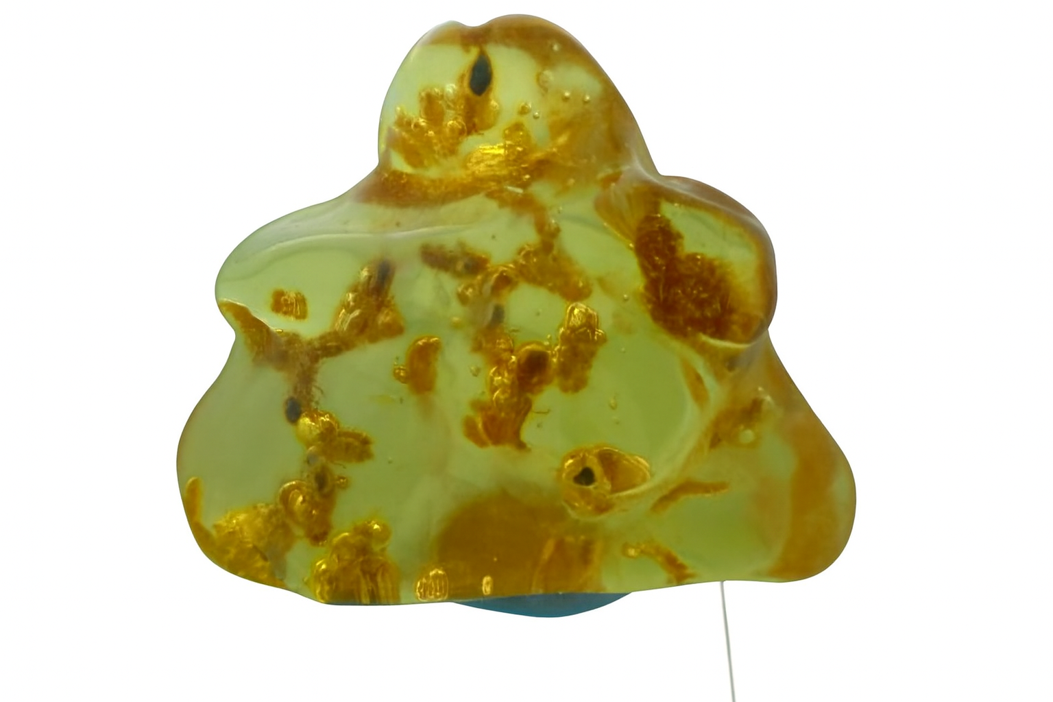 Amber with Termite Inclusions.