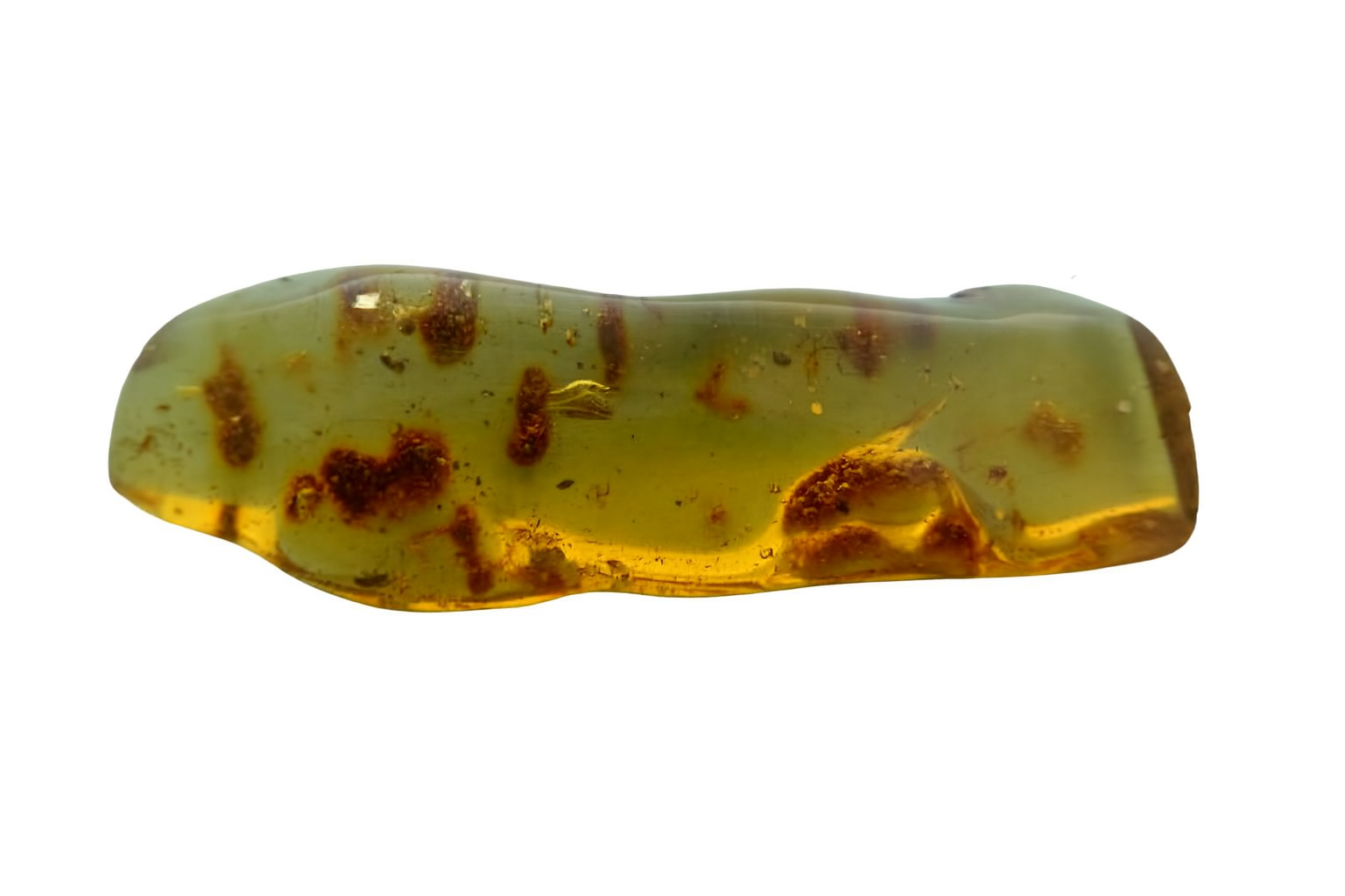 Amber with spider Inclusions.