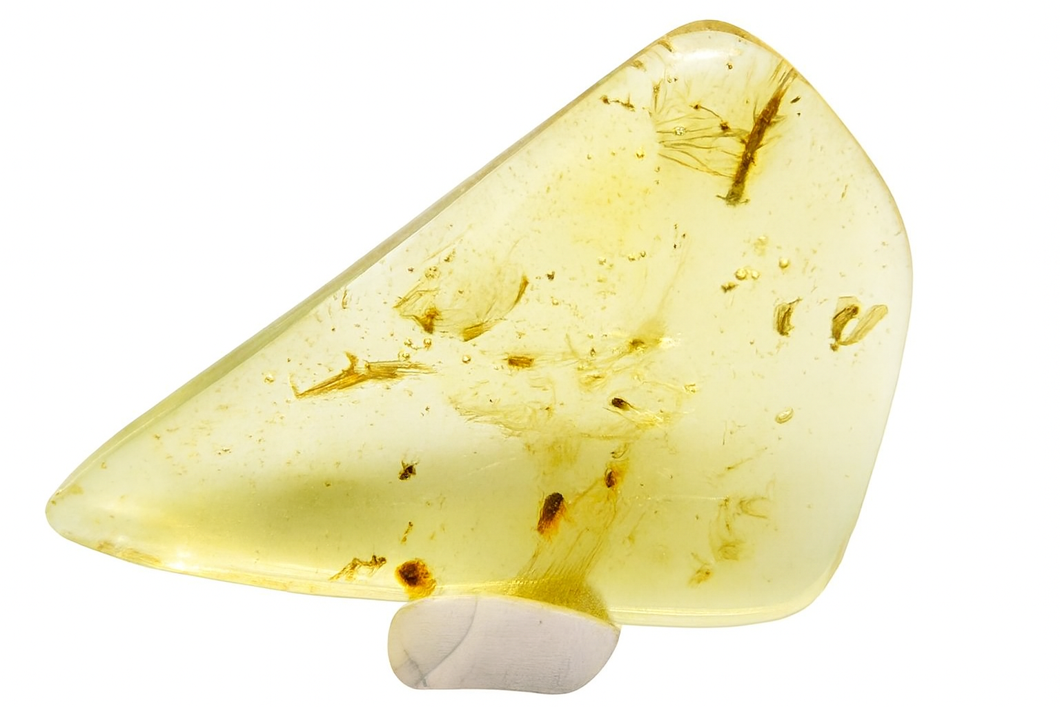 Amber with insect Inclusions.