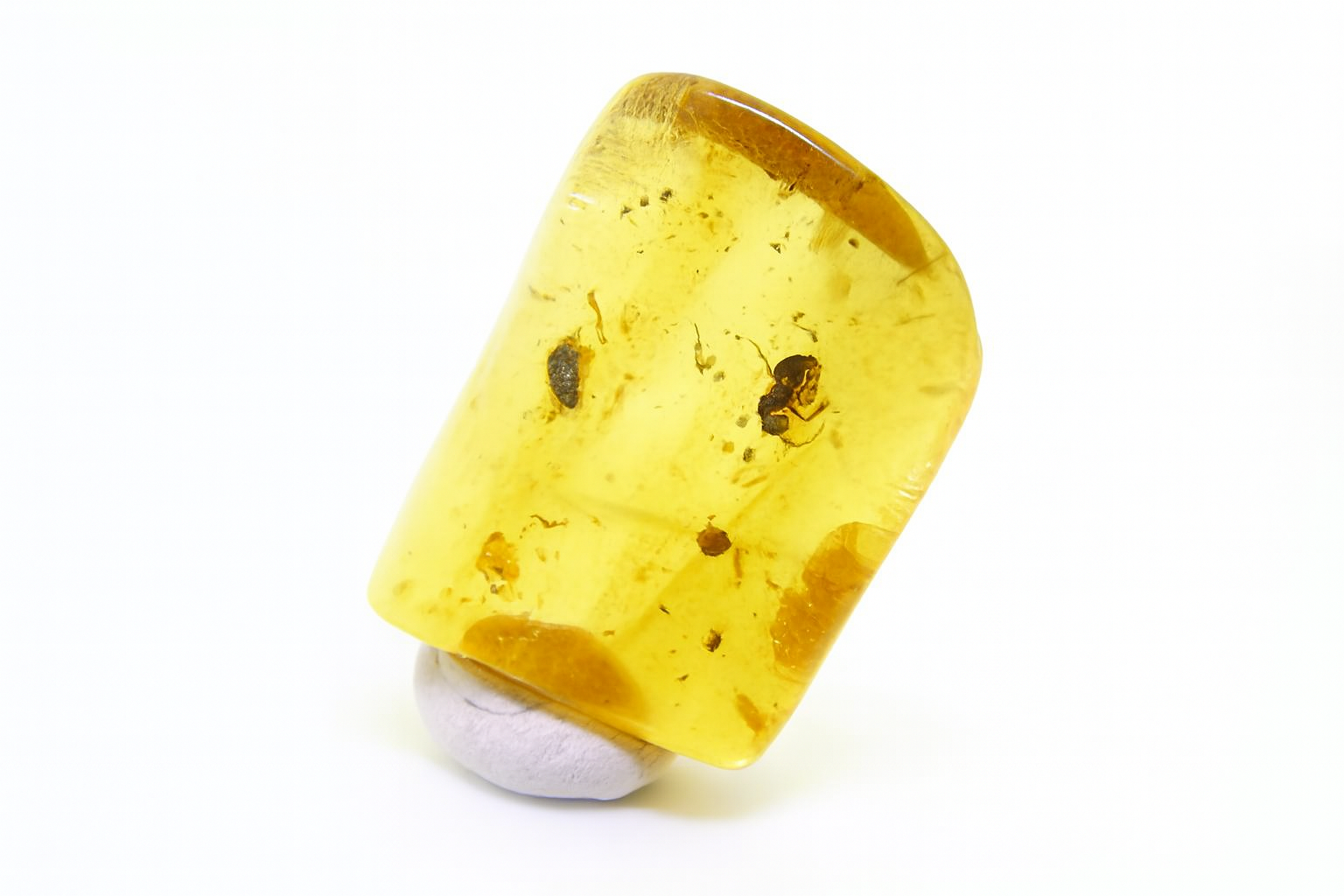 Amber with Insect Inclusions.