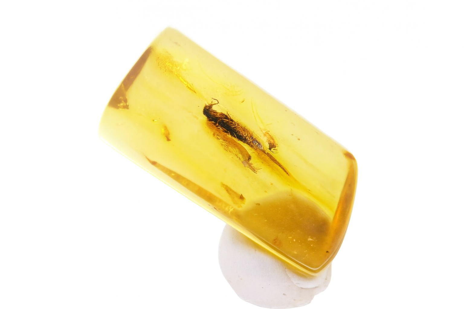 Amber with spider and midge.