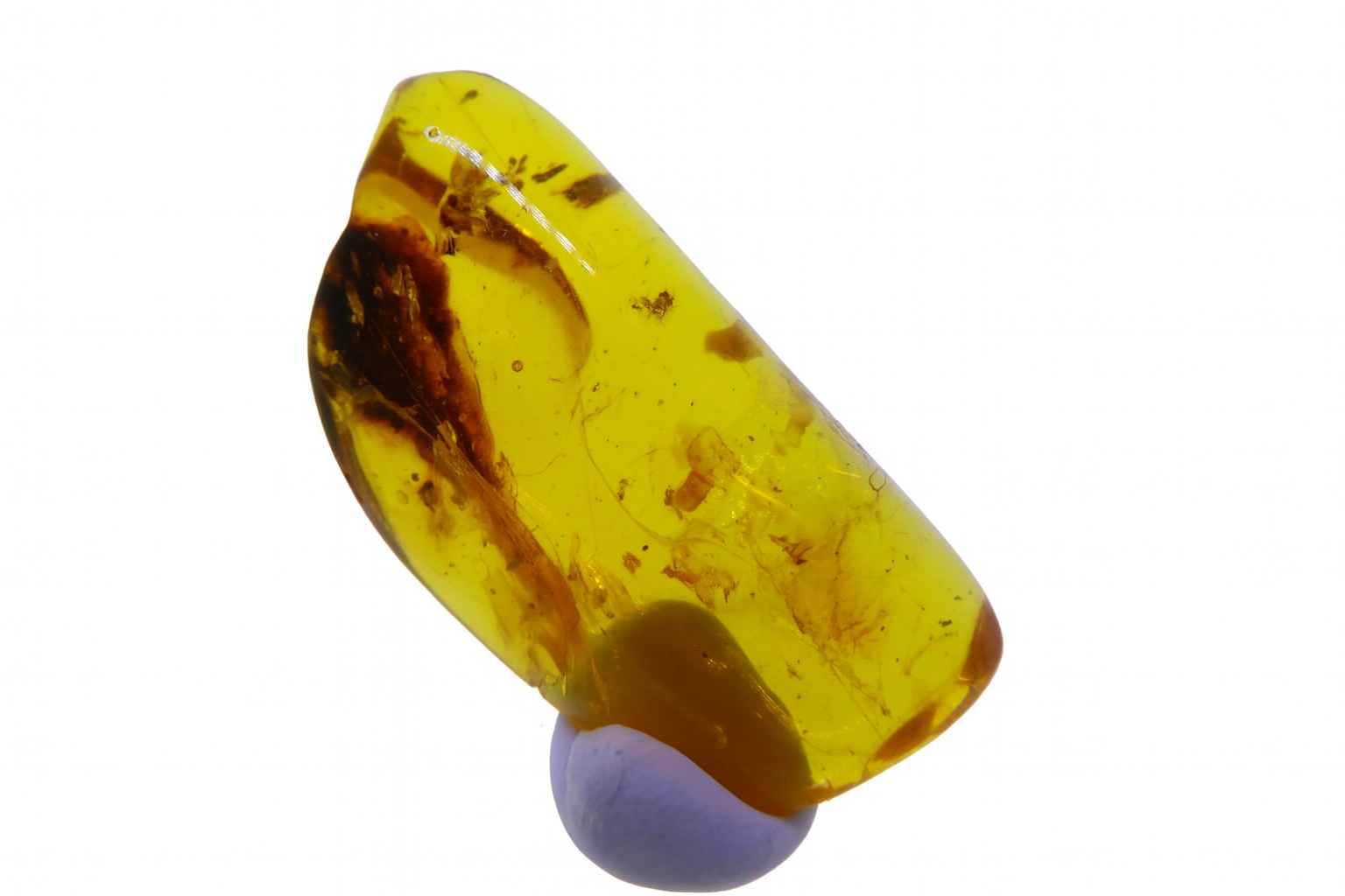 Baltic Amber
