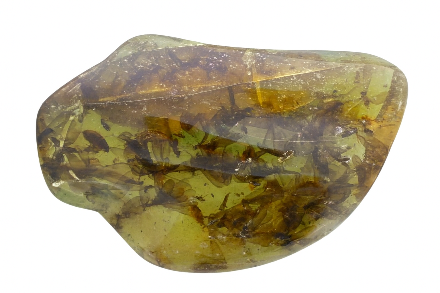 Amber with Insect Inclusions.