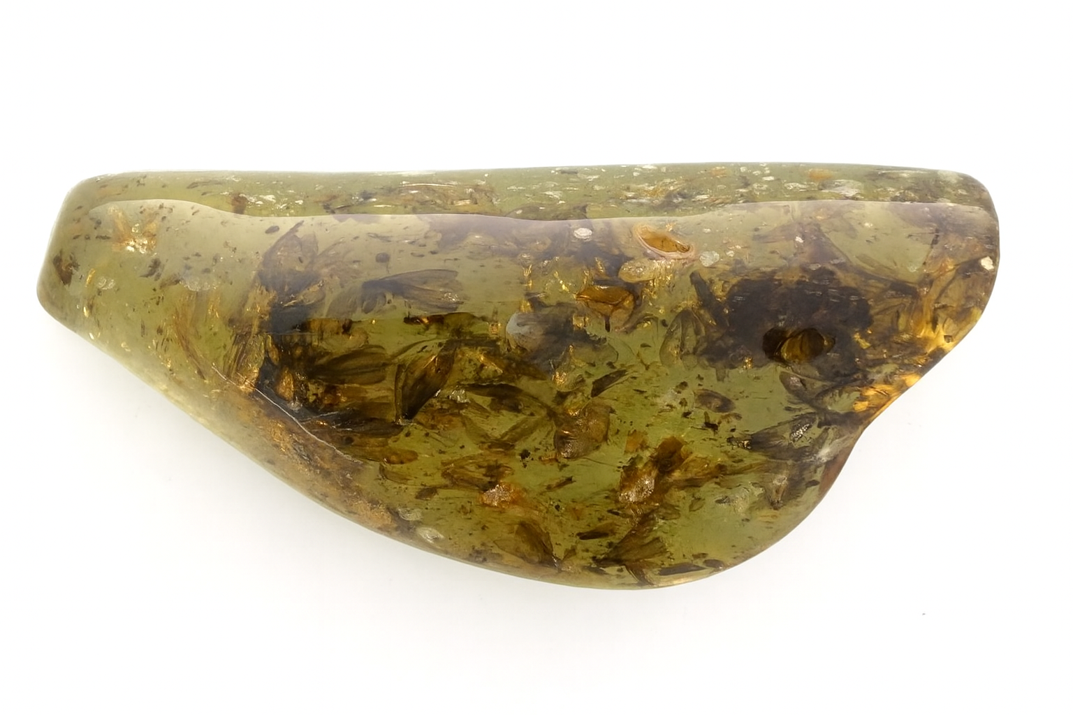 Amber with Insect Inclusions.