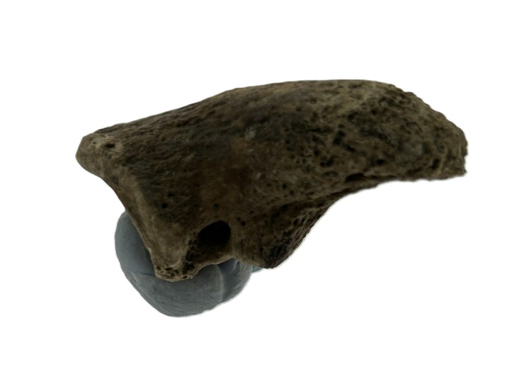 Kangaroo Claw.